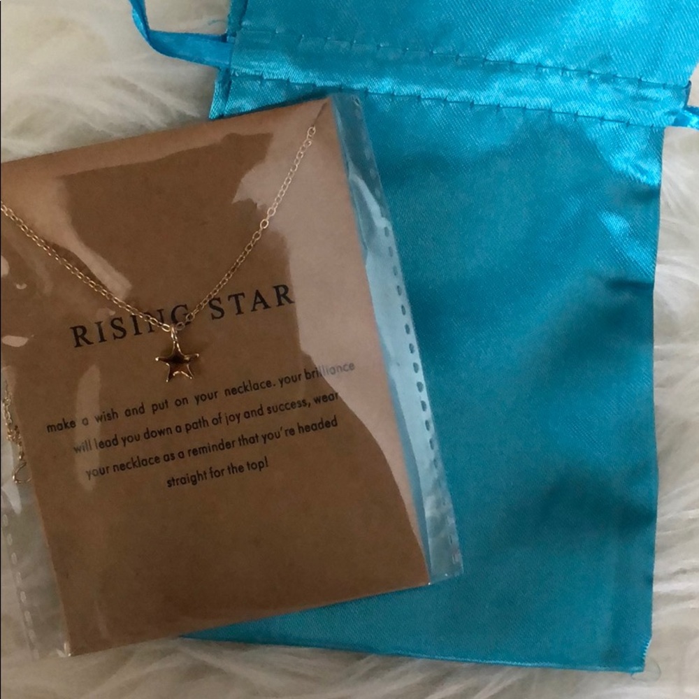 RISING STAR PENDANT NECKLACE - Picture 2 of 3